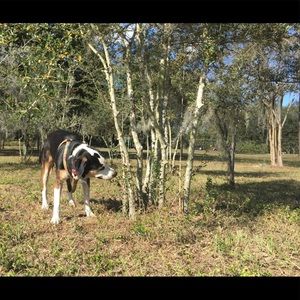 Meet your Posher, Trisha